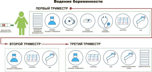 Изображение 5: Течение и ведение беременности - ЭКО-блог