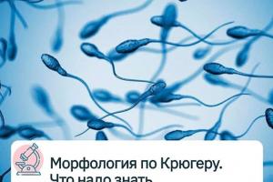 Изображение : Морфология сперматозоидов по Крюгеру - ЭКО-блог