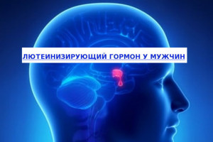 Изображение : Пониженный или повышенный ЛГ - ЭКО-блог