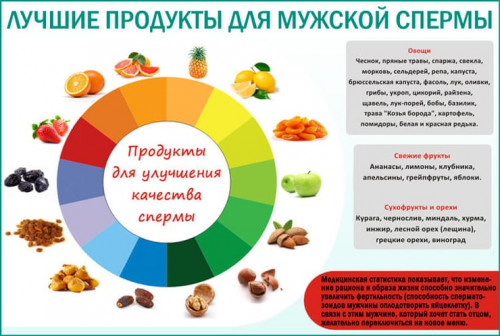 Изображение 3: Как улучшить качество спермы - ЭКО-блог