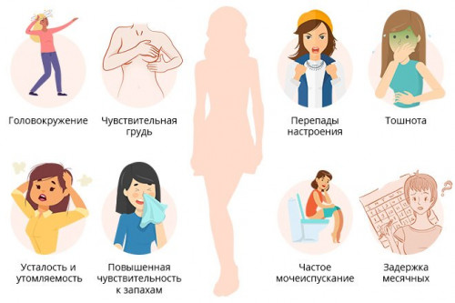 Изображение 1: Развитие плода в 1 месяце беременности