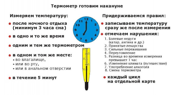 Изображение 3: Как определить беременность без теста - ЭКО-блог