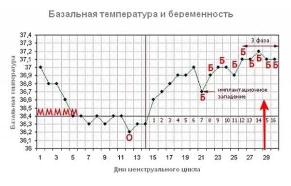 Изображение 1: Как определить беременность без теста - ЭКО-блог