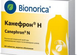 Канефрон при беременности - ЭКО-блог