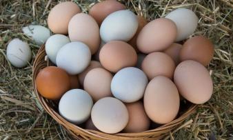 Изображение 3: Продукты приводящие к бесплодию - ЭКО-блог