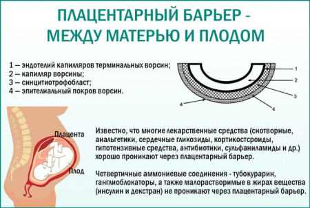 Изображение 2: Применения антибиотиков в программе ЭКО - ЭКО-блог