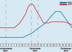 Изображение 3: Гормональный фон при бесплодии - ЭКО-блог