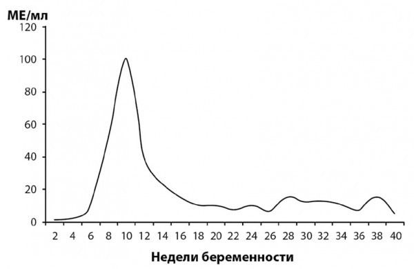 Изображение 2: Как и когда делать тест на беременность? - ЭКО-блог