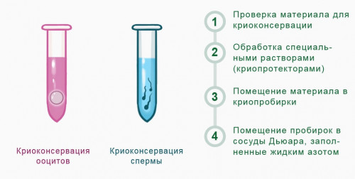 Изображение 2: Как избежать бесплодия после лечения рака - ЭКО-блог