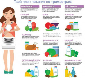 Изображение 2: Зимний рацион будущей мамы - ЭКО-блог