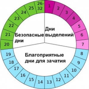 Изображение 3: Вероятность забеременеть во время месячных - ЭКО-блог