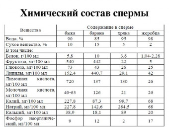 Изображение 2: Полезна ли мужская cпepма для женщин - ЭКО-блог