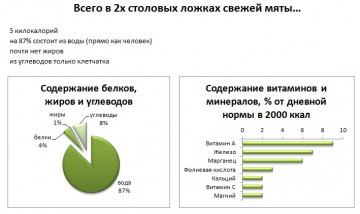 Изображение 2: Подробно о полезных и вредных свойствах мяты для организма мужчины - ЭКО-блог