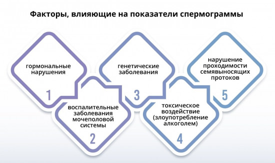 Изображение 1: Созревание сперматозоидов и оплодотворение - ЭКО-блог