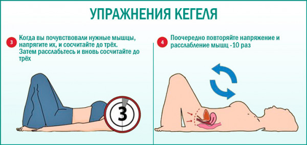 Изображение 3: Упражнения Кегеля: эффективная гимнастика для интимных мышц - ЭКО-блог