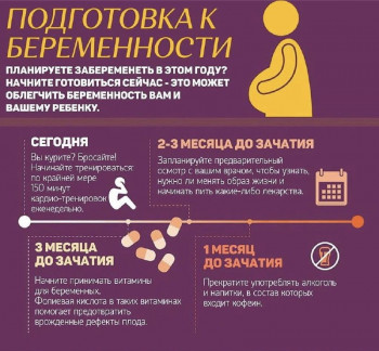 Изображение 4: Сколько живут сперматозоиды в разных условиях - ЭКО-блог