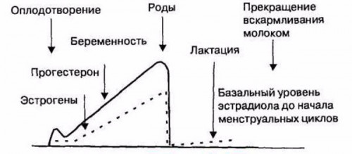 Изображение 3: Холестаз - ЭКО-блог