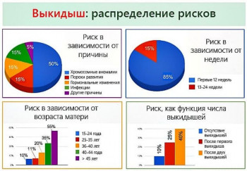 Изображение : Планирование беременности после выкидыша - ЭКО-блог