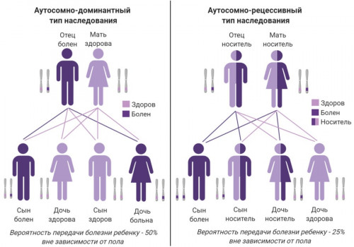 Изображение 3: Хромосомные аномалии - ЭКО-блог