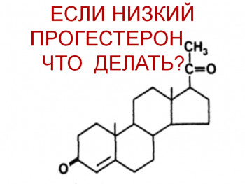 Изображение : Прогестерон у женщин: норма, из-за чего меняется - ЭКО-блог