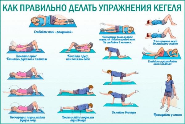 Изображение 4: Гипертрофия матки - ЭКО-блог