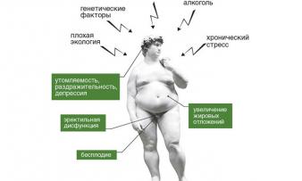 Изображение 1: Гипогонадизм - ЭКО-блог