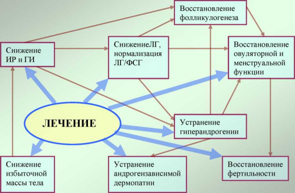 Изображение 4: Гиперандрогения - ЭКО-блог