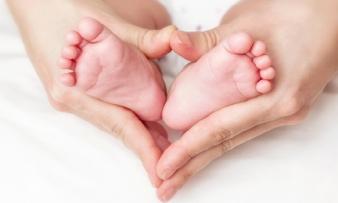 Изображение 2: Хорагон - ЭКО-блог