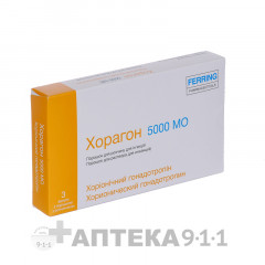 Хорагон - ЭКО-блог