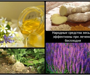 Изображение 1: Лечение бесплодия народными средствами - ЭКО-блог