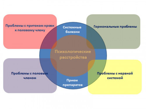 Изображение 2: Нарушение эрекции - ЭКО-блог