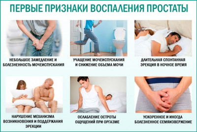 Изображение 4: Простатит - ЭКО-блог