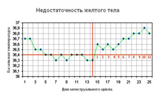 Изображение 3: Базальная температура при овуляции - ЭКО-блог