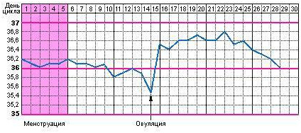 Изображение 2: Как рассчитать овуляцию?  - ЭКО-блог